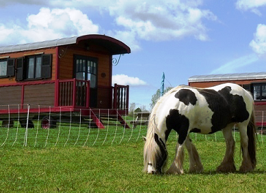 roulotte gîte cantal auvergne salers chaux revel